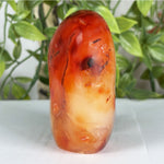 Carnelian Gemstone Freeform - RPS598