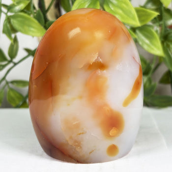 Carnelian Crystal Freeform -Gem Avenue Retail