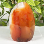 Carnelian Gemstone Freeform - RPS599