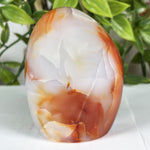 Carnelian Gemstone Freeform - RPS599