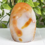 Carnelian Gemstone Freeform - RPS599