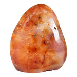 Carnelian Gemstone Freeform - RPS600