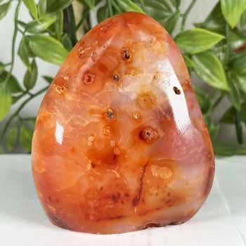 Carnelian Crystal Freeform - Gem Avenue Retail