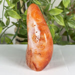 Carnelian Gemstone Freeform - RPS600