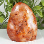 Carnelian Gemstone Freeform - RPS600