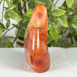 Carnelian Gemstone Freeform - RPS600