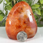 Carnelian Gemstone Freeform - RPS600