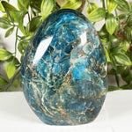 Apatite Freeform Gemstone - RPS601