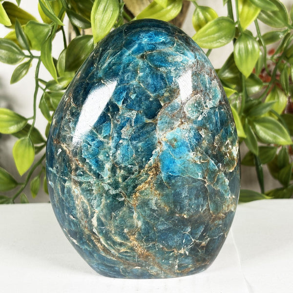 Apatite Crystal Freeform - Gem Avenue Retail