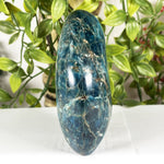 Apatite Freeform Gemstone - RPS601
