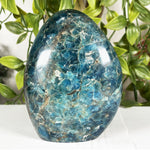 Apatite Freeform Gemstone - RPS601