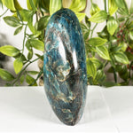 Apatite Freeform Gemstone - RPS601