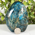 Apatite Freeform Gemstone - RPS601