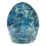 Apatite Freeform Gemstone - RPS602