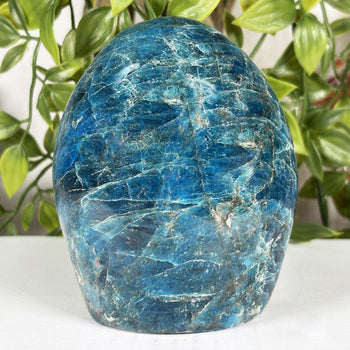 Apatite Freeform Gemstone - RPS602