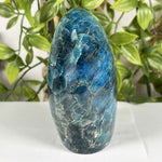 Apatite Freeform Gemstone - RPS602