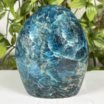 Apatite Freeform Gemstone - RPS602