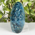 Apatite Freeform Gemstone - RPS602