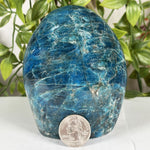 Apatite Freeform Gemstone - RPS602