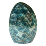 Apatite Gemstone Freeform - RPS603