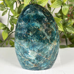 Apatite Gemstone Freeform - RPS603