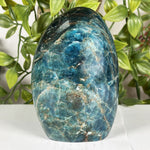 Apatite Gemstone Freeform - RPS603