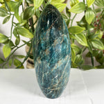 Apatite Gemstone Freeform - RPS603