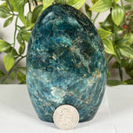 Apatite Gemstone Freeform - RPS603