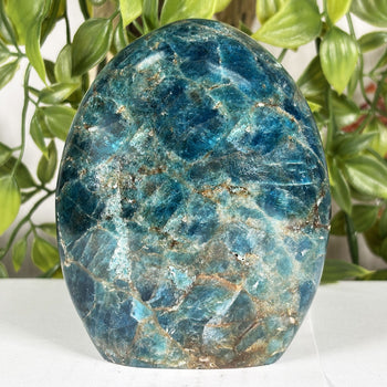 Apatite Gemstone Freeform - RPS604