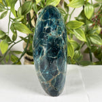 Apatite Gemstone Freeform - RPS604