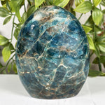 Apatite Gemstone Freeform - RPS604