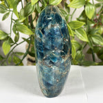 Apatite Gemstone Freeform - RPS604