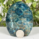 Apatite Gemstone Freeform - RPS604