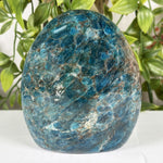 Apatite Gemstone Freeform - RPS605