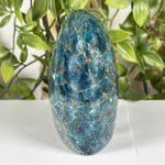 Apatite Gemstone Freeform - RPS605