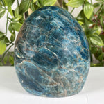 Apatite Gemstone Freeform - RPS605