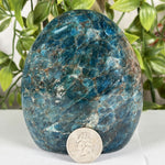 Apatite Gemstone Freeform - RPS605