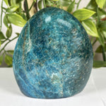 Apatite Gemstone Freeform - RPS606