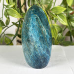 Apatite Gemstone Freeform - RPS606