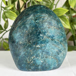 Apatite Gemstone Freeform - RPS606