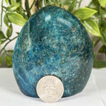 Apatite Gemstone Freeform - RPS606