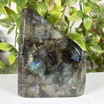 Labradorite Gemstone Freeform - RPS607