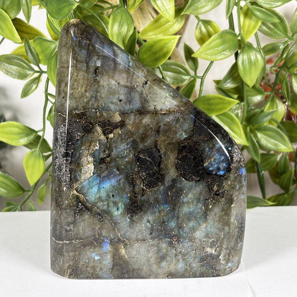 Labradorite Crystal Freeform - Gem Avenue Retail