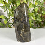 Labradorite Gemstone Freeform - RPS607