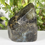 Labradorite Gemstone Freeform - RPS607