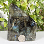 Labradorite Gemstone Freeform - RPS607