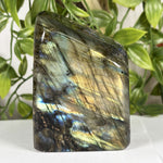 Labradorite Gmstone Freeform - RPS608
