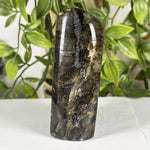 Labradorite Gmstone Freeform - RPS608