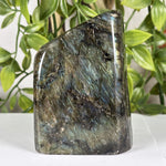 Labradorite Gmstone Freeform - RPS608