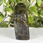 Labradorite Gmstone Freeform - RPS608